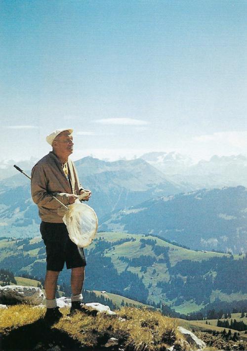 VN on La Videmanette, twenty miles east of Montreux, and one mile above Montreux, altitude, 1971, hunting butterflies. Photograph by Dmitri Nabokov. © The Vladimir Nabokov Literary Foundation.