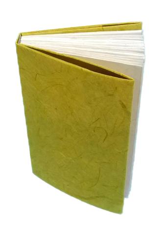photograph of sewn paper-covered bookbinding